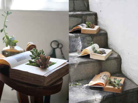 DIYBookPlanter-Final1-475x355